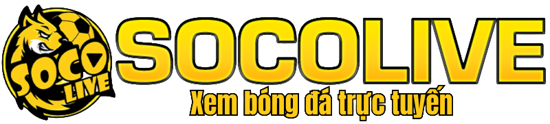 socolivezp.top