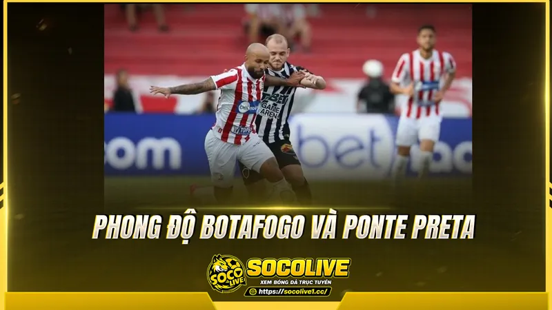 Phong độ Botafogo và Ponte Preta được Socolive TV tổng hợp