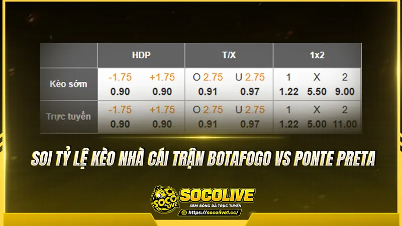 Soi tỷ lệ kèo nhà cái trận Botafogo vs Ponte Preta